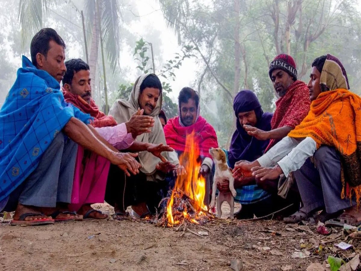 Rajasthan Weather Update: राजस्थान में सर्दी का कहर! तेजी से गिरने लगा पारा  