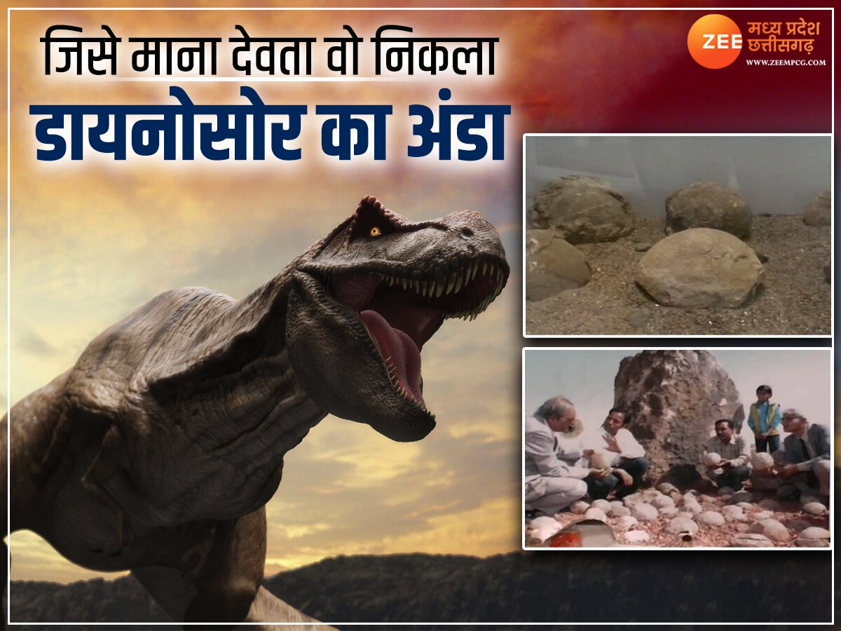 Dinosaur Egg Worship: सालों से डायनासोर के अंडों को पूज रहे थे ग्रामीण, सच पता चला तो क्या बोले..?