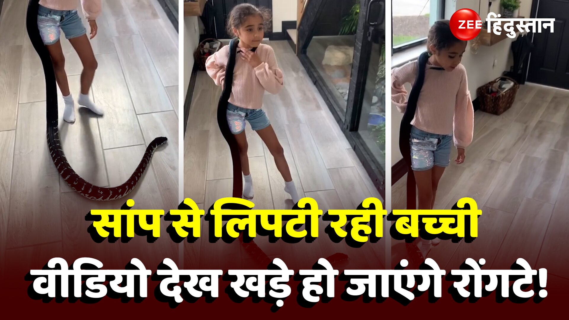 Video Of Girl With Snake Goes Viral On Internet Leaves People In A ...