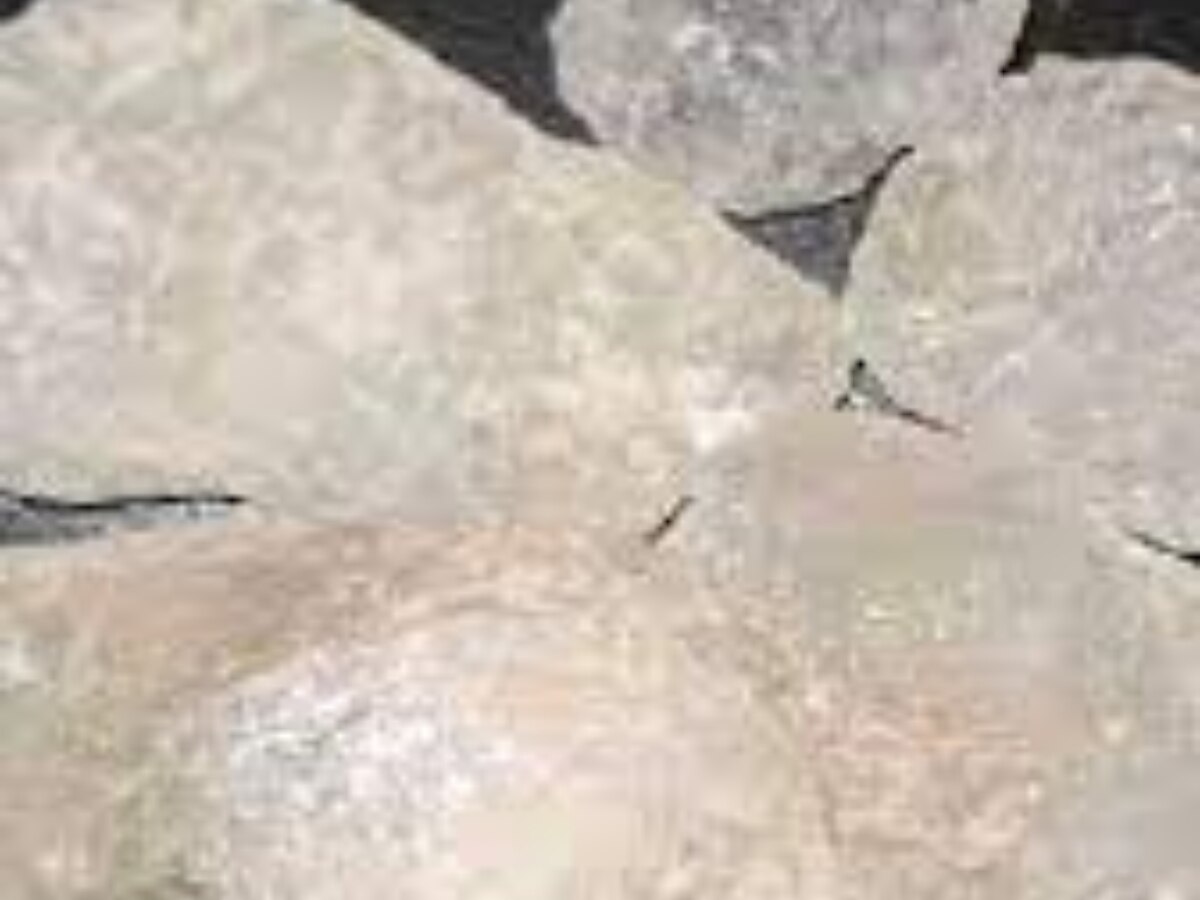 Mix these 5 things with mustard oil and apply joint pain problems will