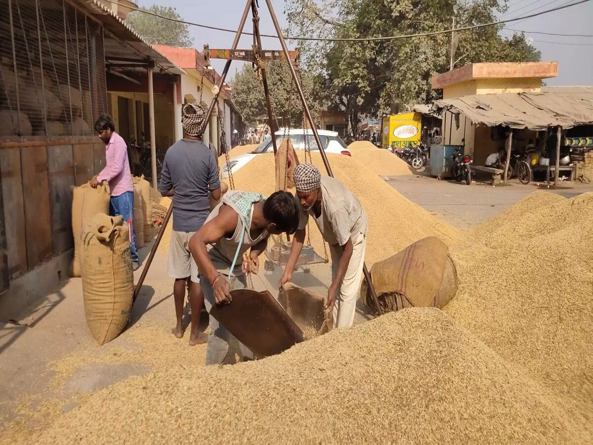 छत्तीसगढ़ में प्रधानमंत्री मोदी की एक और गारंटी पूरी, धान अब इतने रुपये क्विंटल पर खरीदी जाएगी