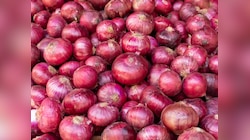 Onion Benefits: प्याज के 10 अनसुने फायदे, जानिए सेहत के रामबाण उपाय
