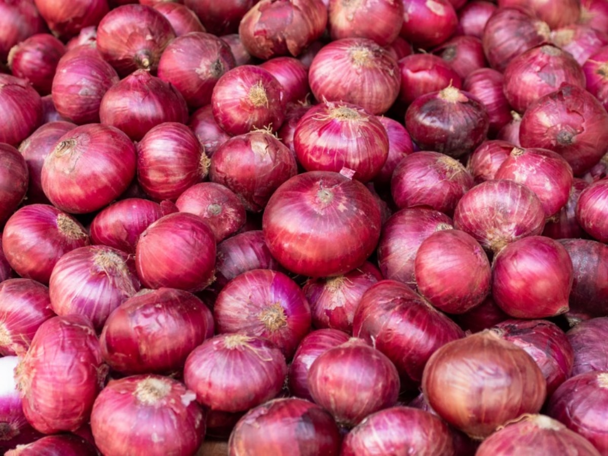 Onion Benefits: प्याज के 10 अनसुने फायदे, जानिए सेहत के रामबाण उपाय