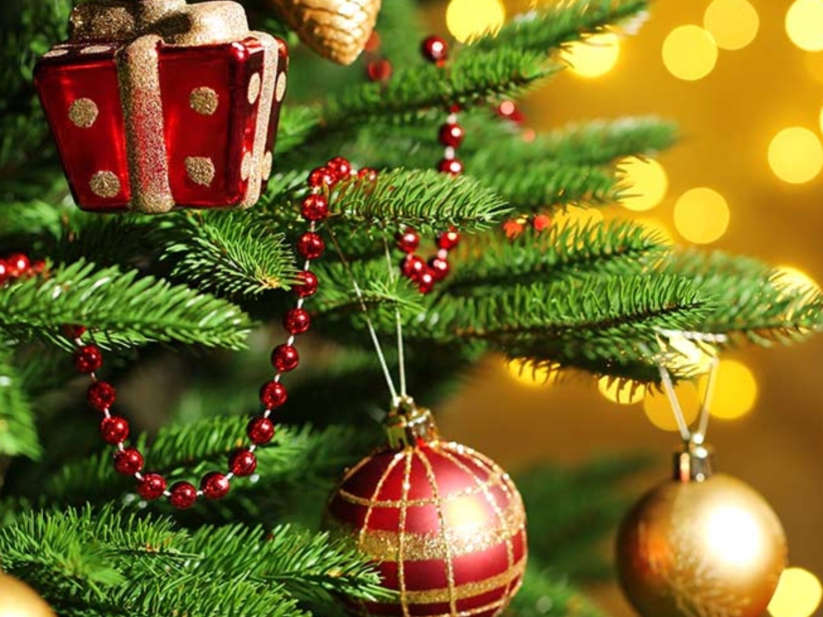 Christmas 2023: क्रिसमस पर पहली बार शिमला के क्राइस्टर चर्च में लगेगी पहाड़ी नाटी, तैयारियां शुरू