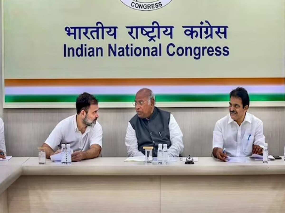 2024 के चुनाव में Congress क्षेत्रीय दलों से मिला सकती है हाथ, जानें CWC में राहुल ने क्या कहा?