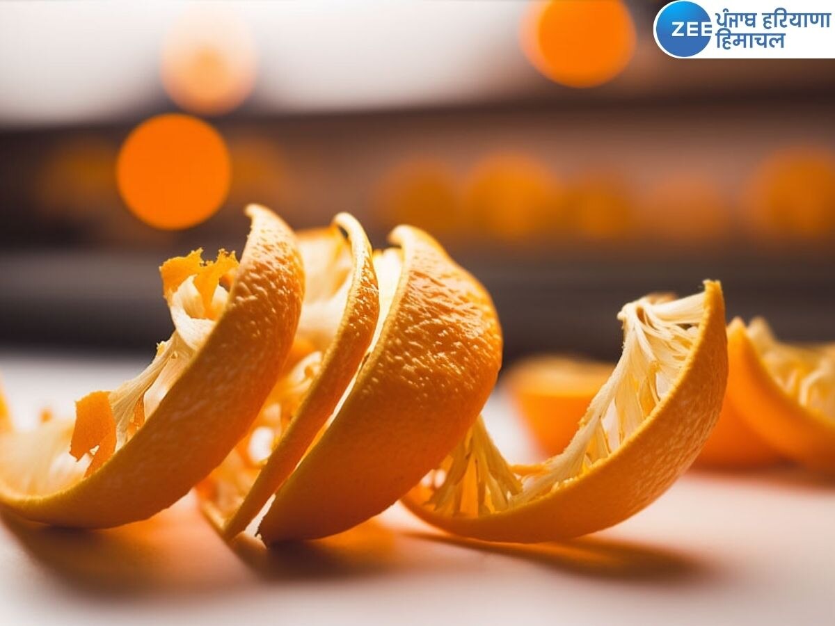 Orange Peel Benefits: ਸੰਤਰਾ ਹੀ ਨਹੀਂ, ਛਿਲਕਾ ਵੀ ਹੈ ਬਹੁਤ ਹੀ ਫਾਇਦੇਮੰਦ, ਜਾਣੋ ਇਸ ਦੇ ਹੈਰਾਨੀਜਨਕ ਫਾਇਦੇ