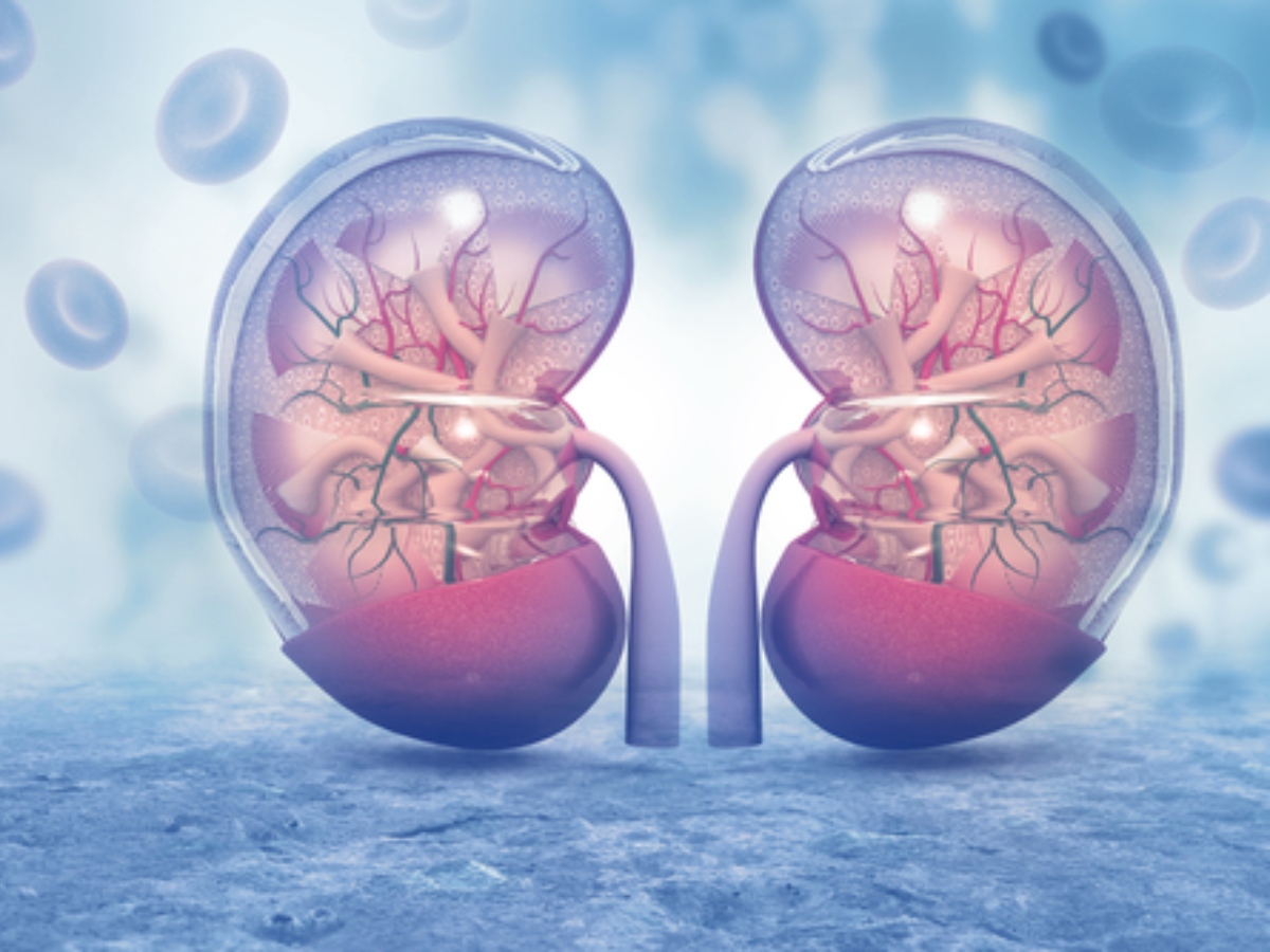 किडनी संबंधित समस्याएं