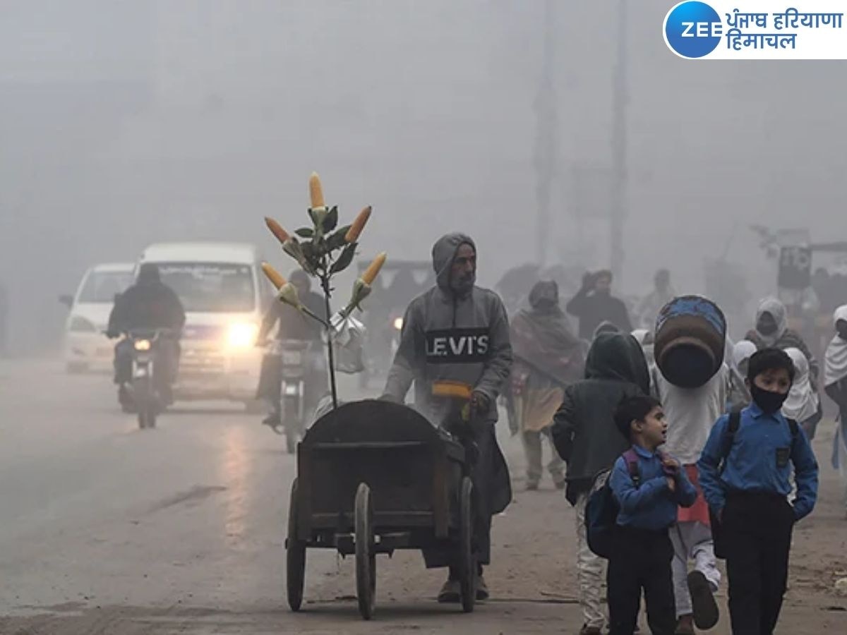 Punjab Weather Updates: ਪੰਜਾਬ 'ਚ ਸ਼ਿਮਲੇ ਵਰਗੀ ਠੰਡ!  ਤਾਪਮਾਨ ਆਮ ਨਾਲੋਂ ਘੱਟ, IMD ਵੱਲੋਂ ਧੁੰਦ ਦਾ ਅਲਰਟ  