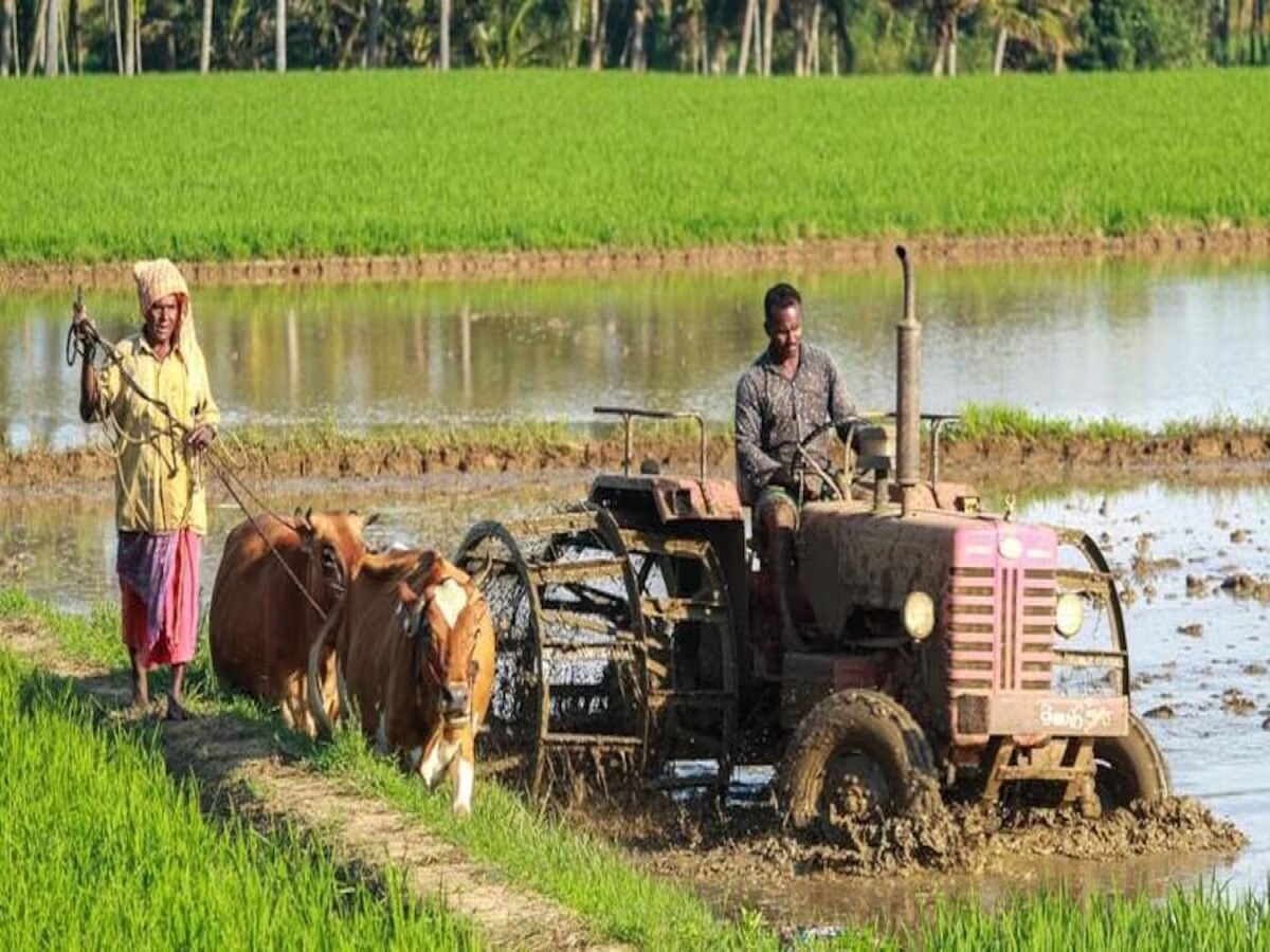 National Farmer's Day: किसान दिवास का क्या है इतिहास और महत्व, पूर्व प्रधानमंत्री चौधरी चरण सिंह से क्या है कनेक्शन 