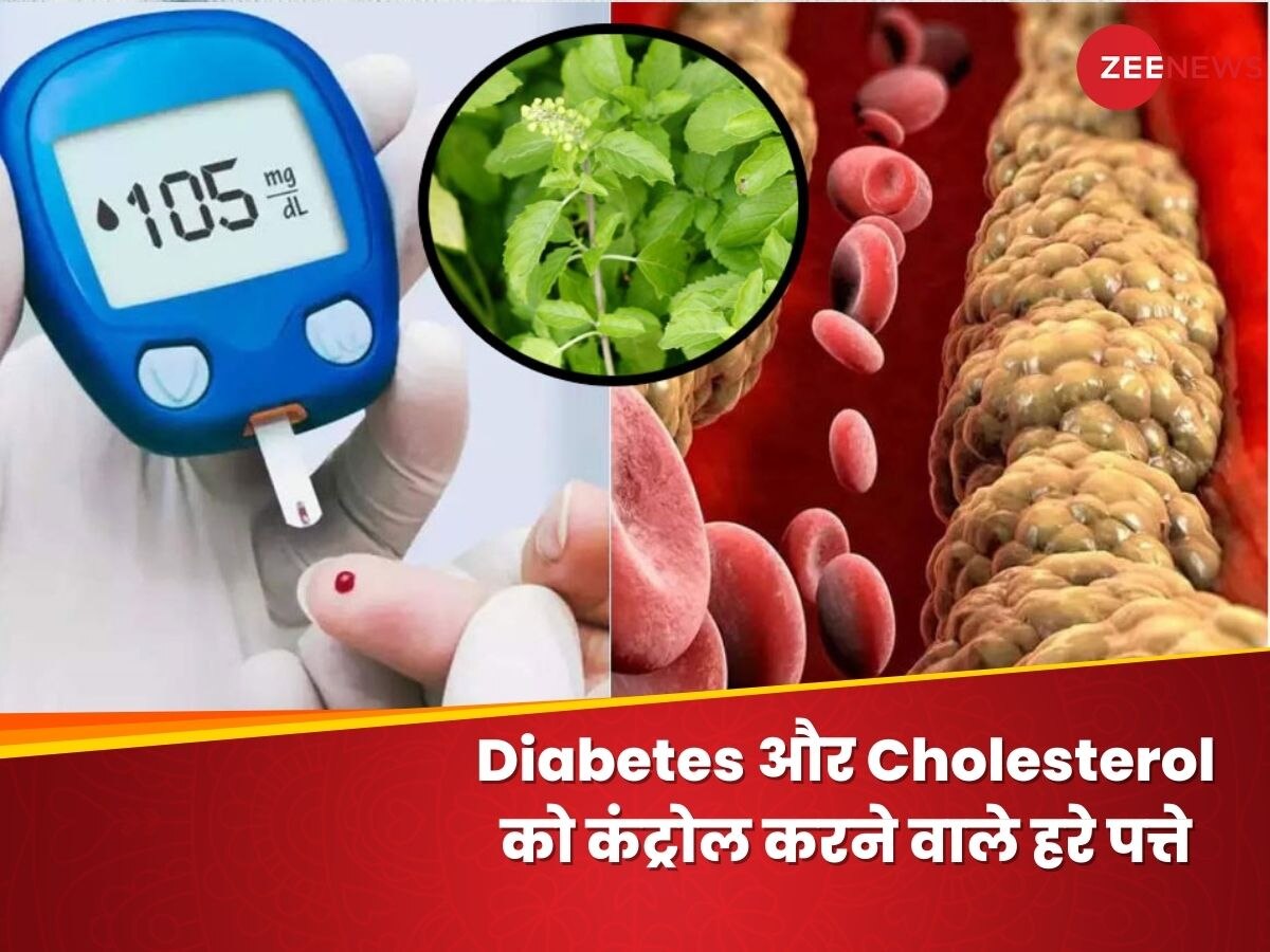 Diabetes और Cholesterol के 'पक्के दुश्मन' हैं ये 4 पत्ते, रोजाना सुबह को चबाने से होंगे फायदे