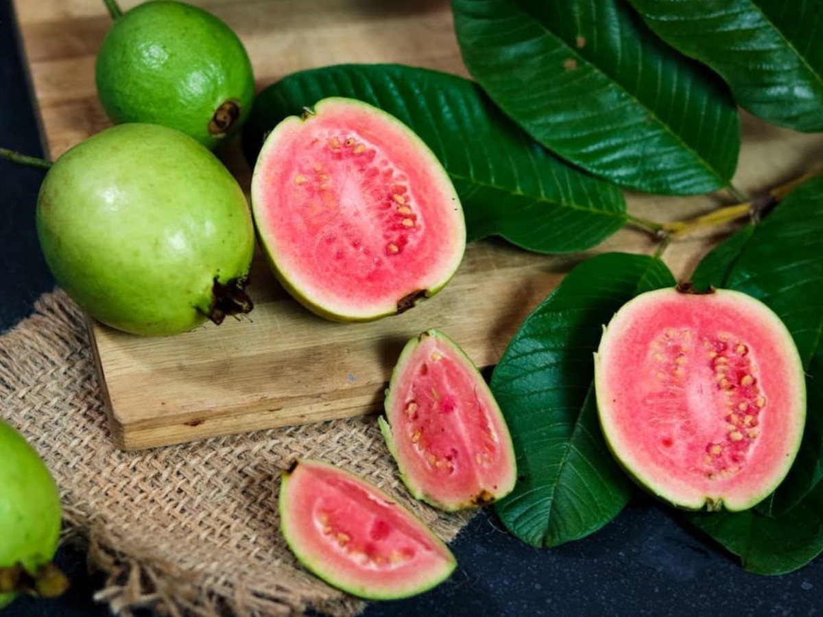 Guava Benefits In Winter Season: जाड़े में मौसमी बीमारियों का होगा अंत, बस रोज सुबह खा लें ये फल 