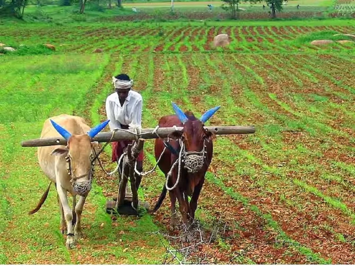 Pm Kisan Yojana को लेकर बड़ा अपडेट!  इन किसानों की रुक सकती है 16वीं किस्त, तुरंत करें ये काम