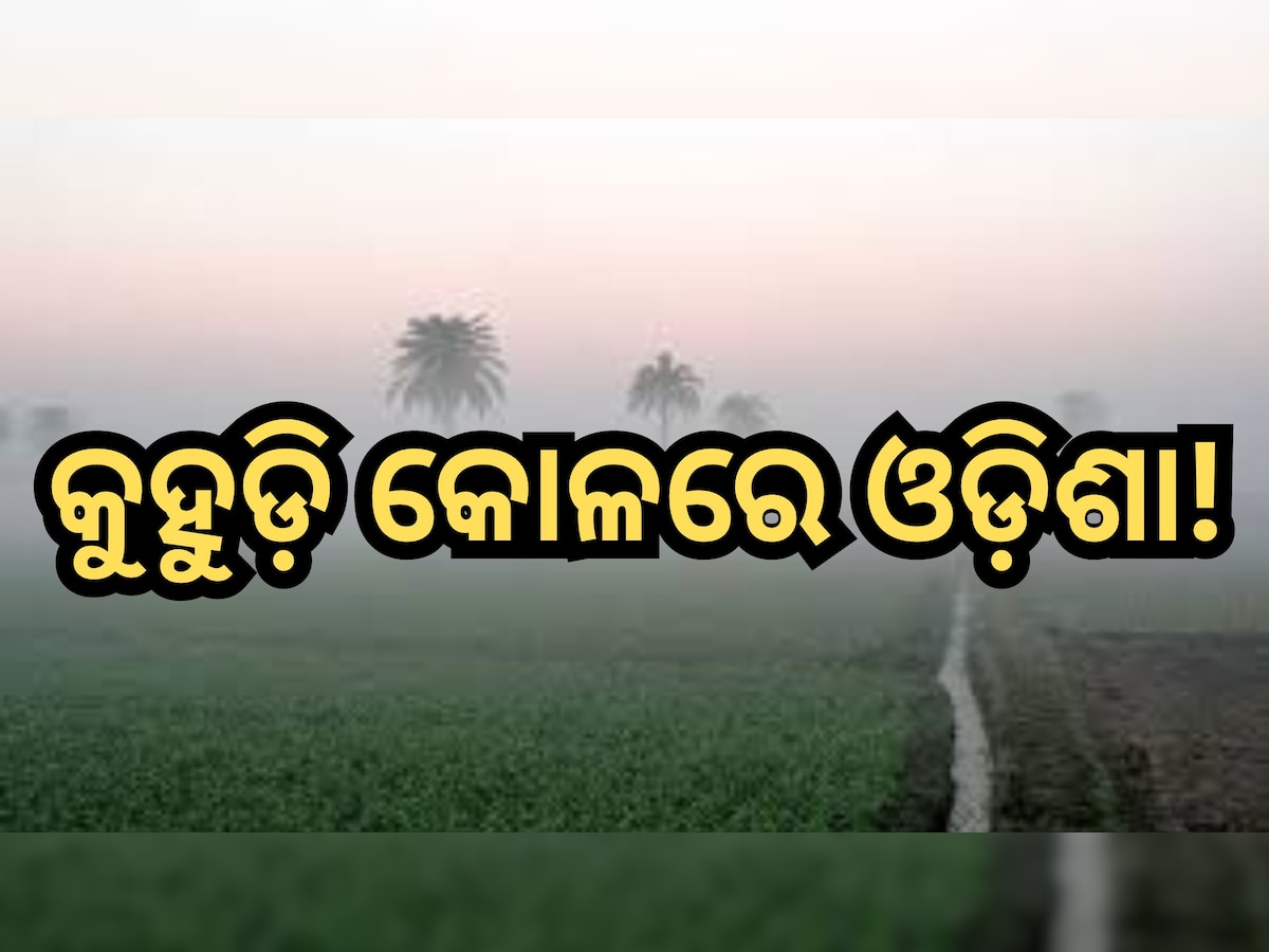 Weather Update: ୨୦ ଜିଲ୍ଲାକୁ ୟେଲୋ ଆଲର୍ଟ,  ସତର୍କତା ଜାରି କଲା ପାଣିପାଗ ବିଭାଗ