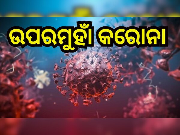 ସୌ(ସୋସିଆଲ ମିଡିଆ)