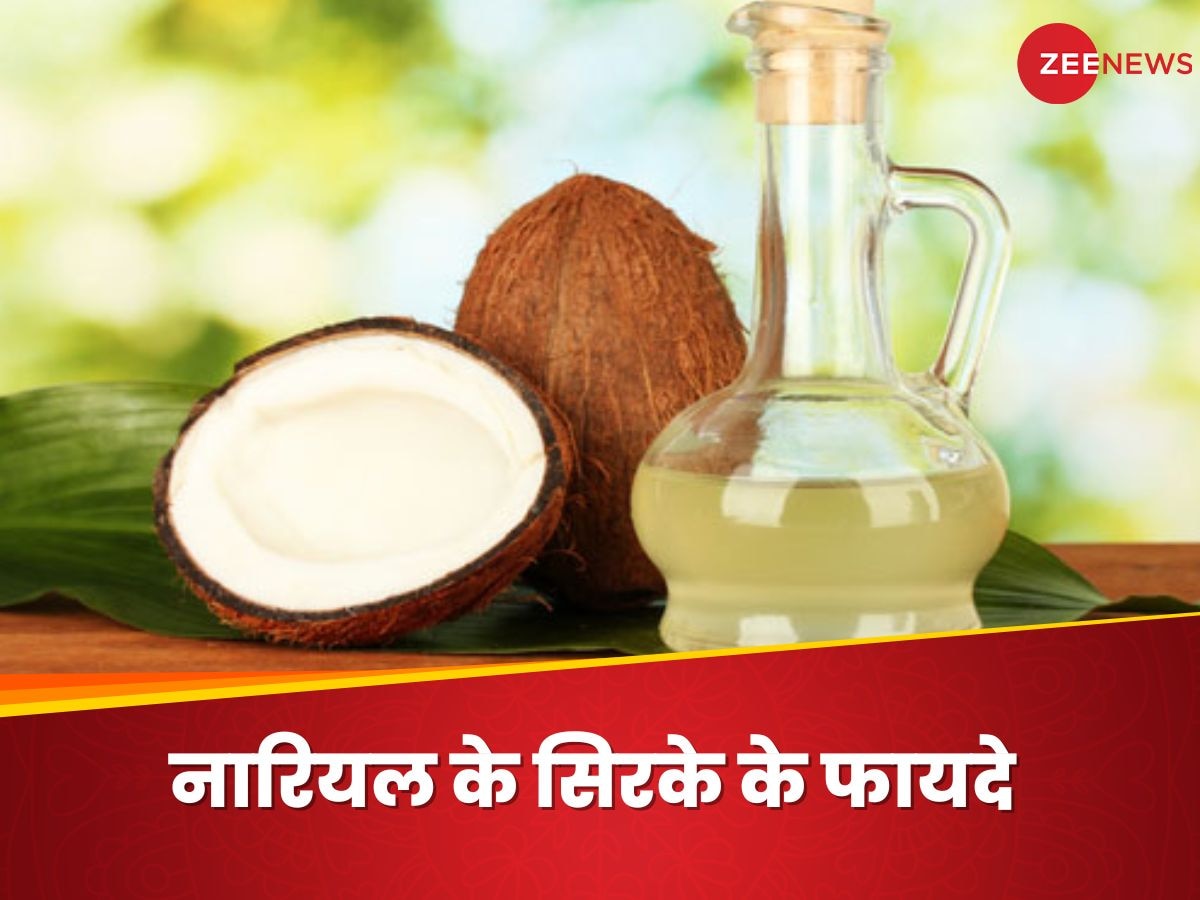 Coconut Vinegar: क्या कभी आपने पिया है नारियल का सिरका? शरीर को इस तरह पहुंचाता है फायदे