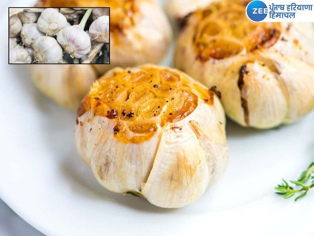 Benefits of Roasted Garlic: ਸਰਦੀਆਂ 'ਚ ਭੁੰਨਿਆ ਹੋਇਆ ਲਸਣ ਖਾਣ ਨਾਲ ਮਿਲਣਗੇ ਇਹ ਚਮਤਕਾਰੀ ਲਾਭ