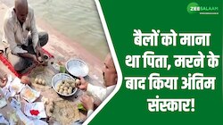 बैलों को माना था पिता, मरने के बाद किया अंतिम संस्कार; खिलाएंगे 3000 लोगों को खाना!