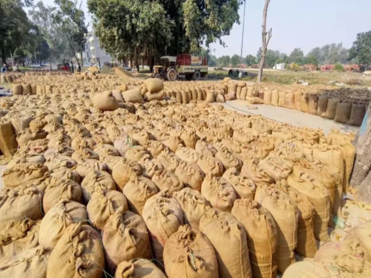 Jharkhand News: झारखंड में किसानों से 60 लाख क्विंटल धान खरीदेगी सरकार, कीमत पिछली बार से 250 रुपए ज्यादा
