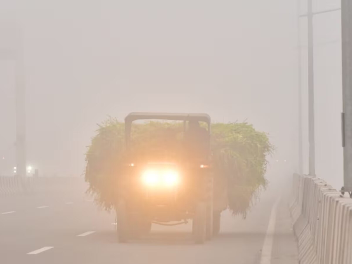 Weather Update: दिल्ली, यूपी समेत इन राज्यों में रहेगा कोहरे का कहर, IMD ने जारी किया अलर्ट