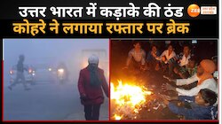 Weather Update: उत्तर भारत में कड़ाके की ठंड,  सड़कों पर विजिबिलिटी बेहद कम 