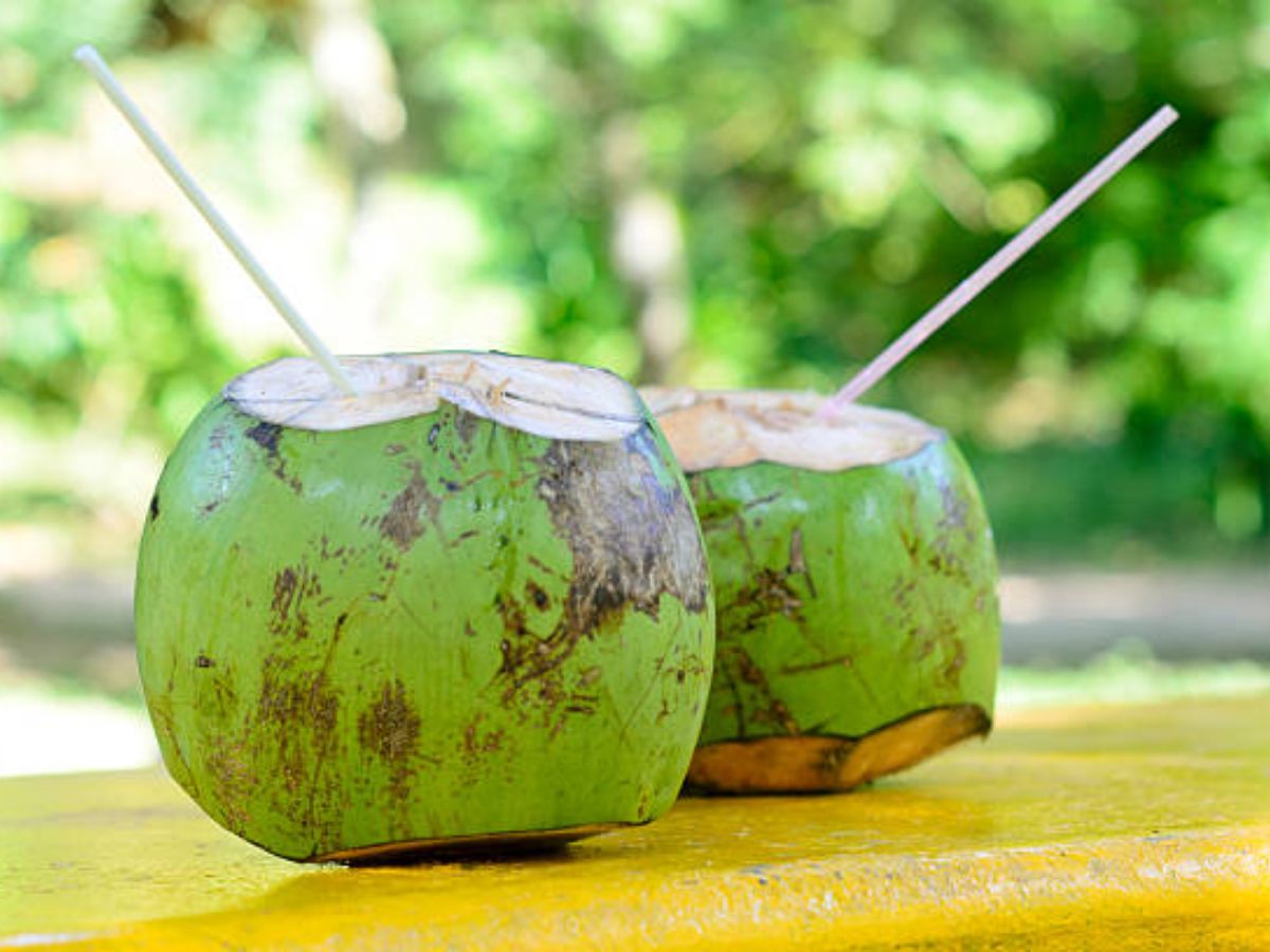 Coconut water:सर्दियों के मौसम में पी रहे हैं नारियल पानी, तो हो जाएं सावधान, इन लोगों को हो सकती है बड़ी समस्या!