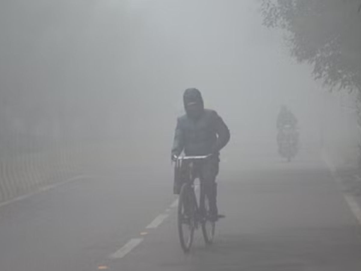 MP Weather Update: एमपी - छत्तीसगढ़ में जारी है कड़ाके की ठंड का दौर! इस दिन हो सकती है बारिश 