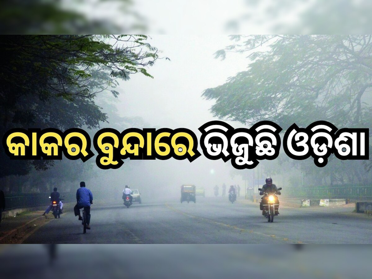 Weather Update: କମୁଛି ଶୀତ , ବଢୁଛି କୁହୁଡି଼