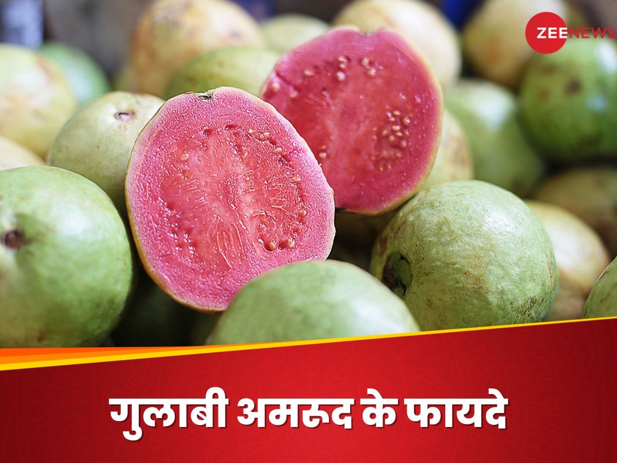 Pink Guava: डायबिटीज मरीजों के लिए खजाने से कम नहीं गुलाबी अमरूद, जानिए अन्य फायदे