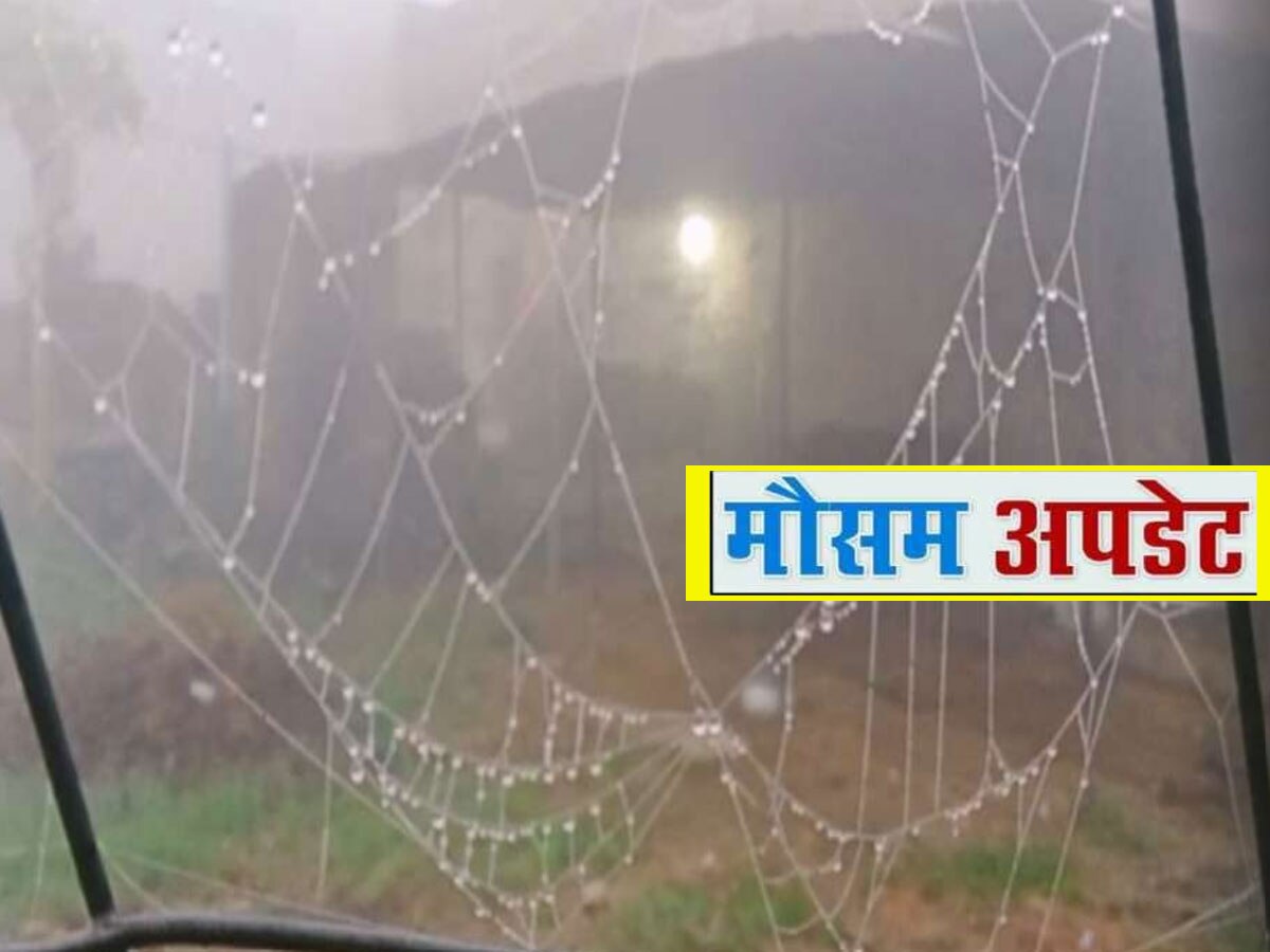 Rajasthan Weather Update: घने कोहरे के आगोश में लिपटा राजस्थान, हाड़ कंपा रही सर्दी से आमजन परेशान