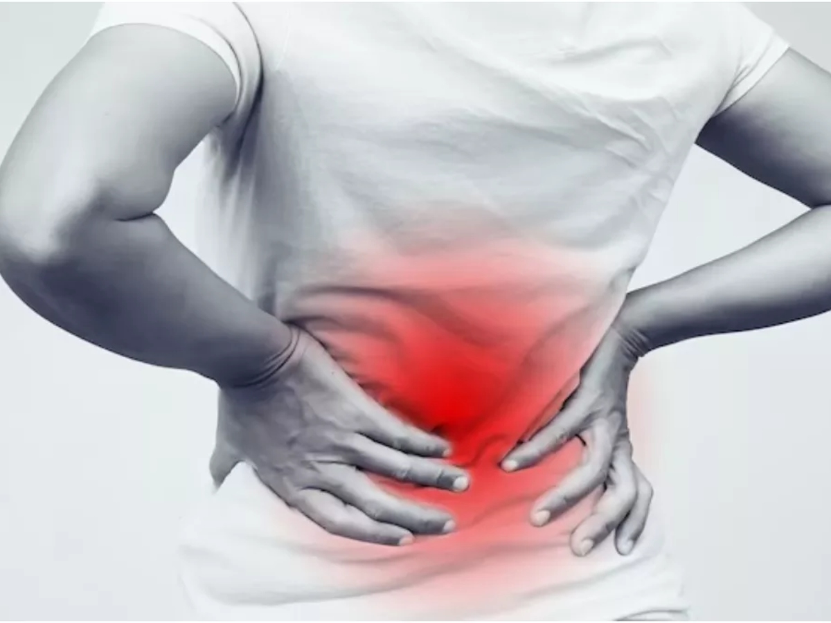 ठंड में रोजाना खाएं इस 1 चीज का लड्डू, शरीर को मिलेगी भरपूर एनर्जी... 13 कमर दर्द, शरीर दर्द