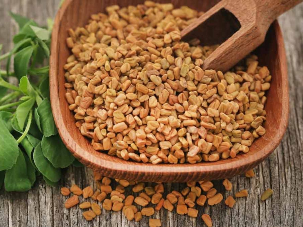 Benefits of Fenugreek Eat fenugreek seeds on an empty stomach in the