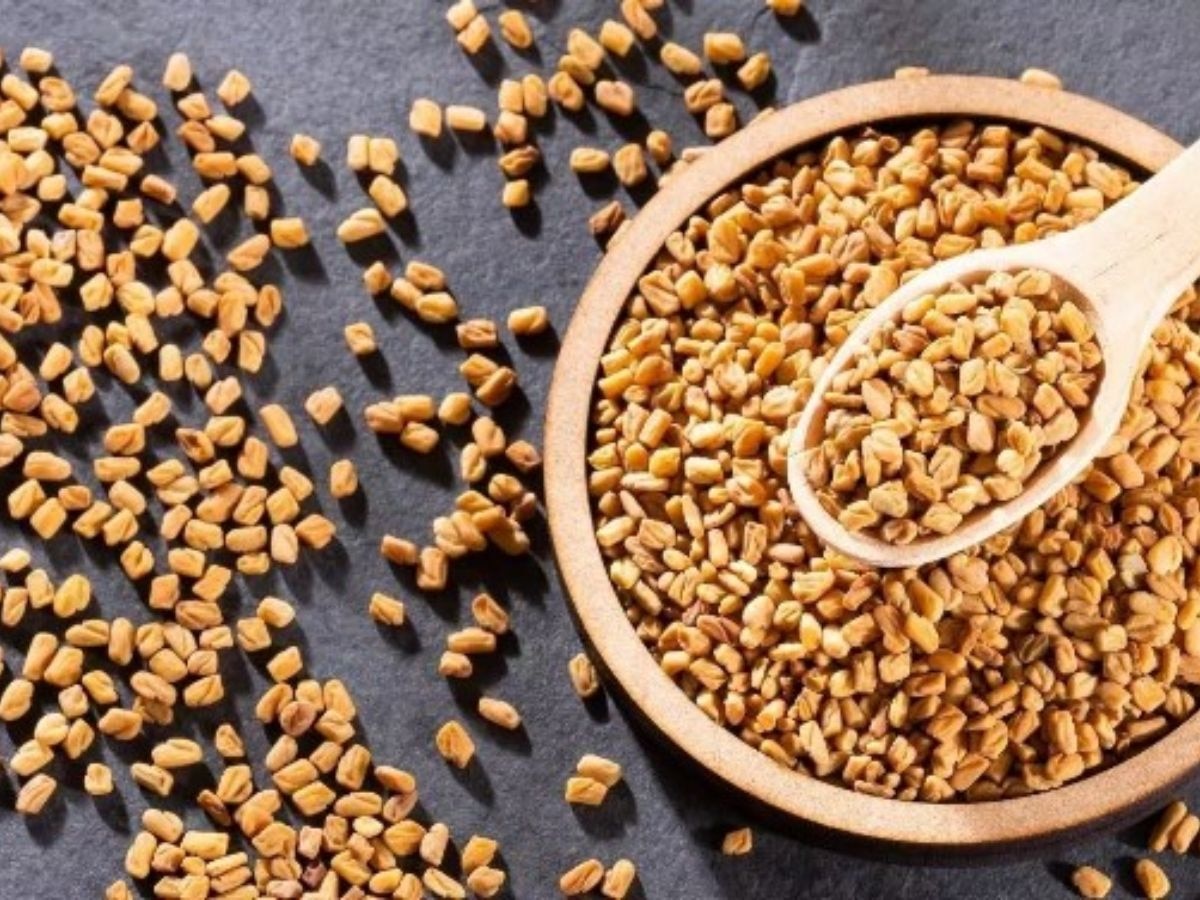 Benefits of Fenugreek Eat fenugreek seeds on an empty stomach in the