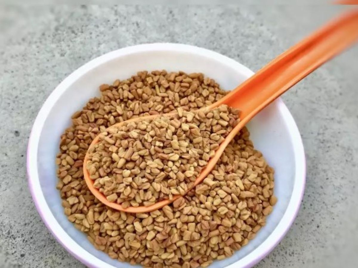 Benefits of Fenugreek Eat fenugreek seeds on an empty stomach in the