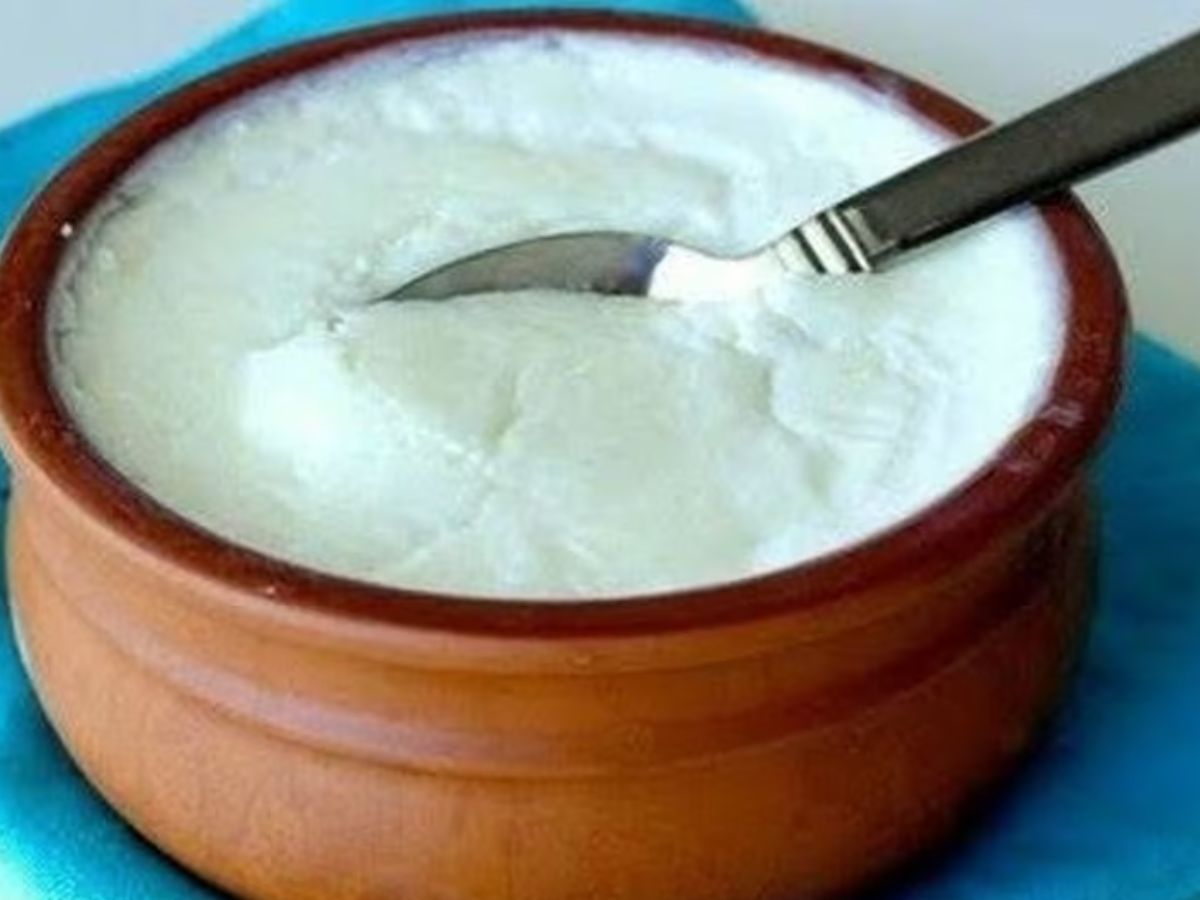 Curd