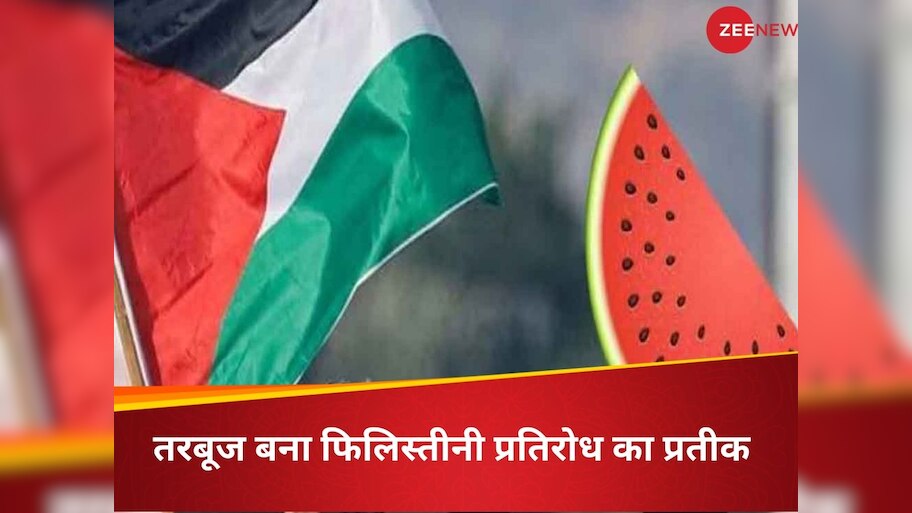 Israel-Hamas War Why has watermelon become a symbol of solidarity ...