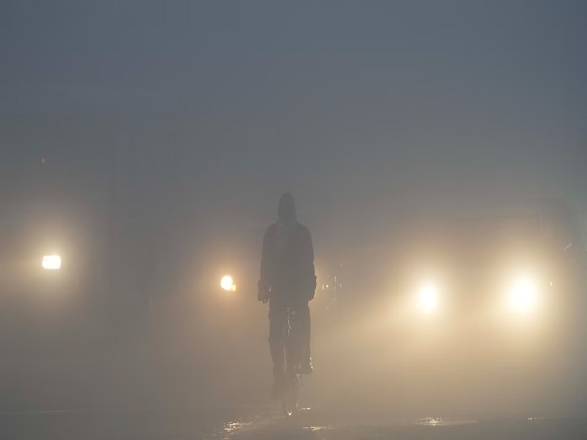 कोहरे से निपटने के लिए NHAI ने उठाए सड़क सुरक्षा को लेकर कदम, शुरू की गई ये नई पहल