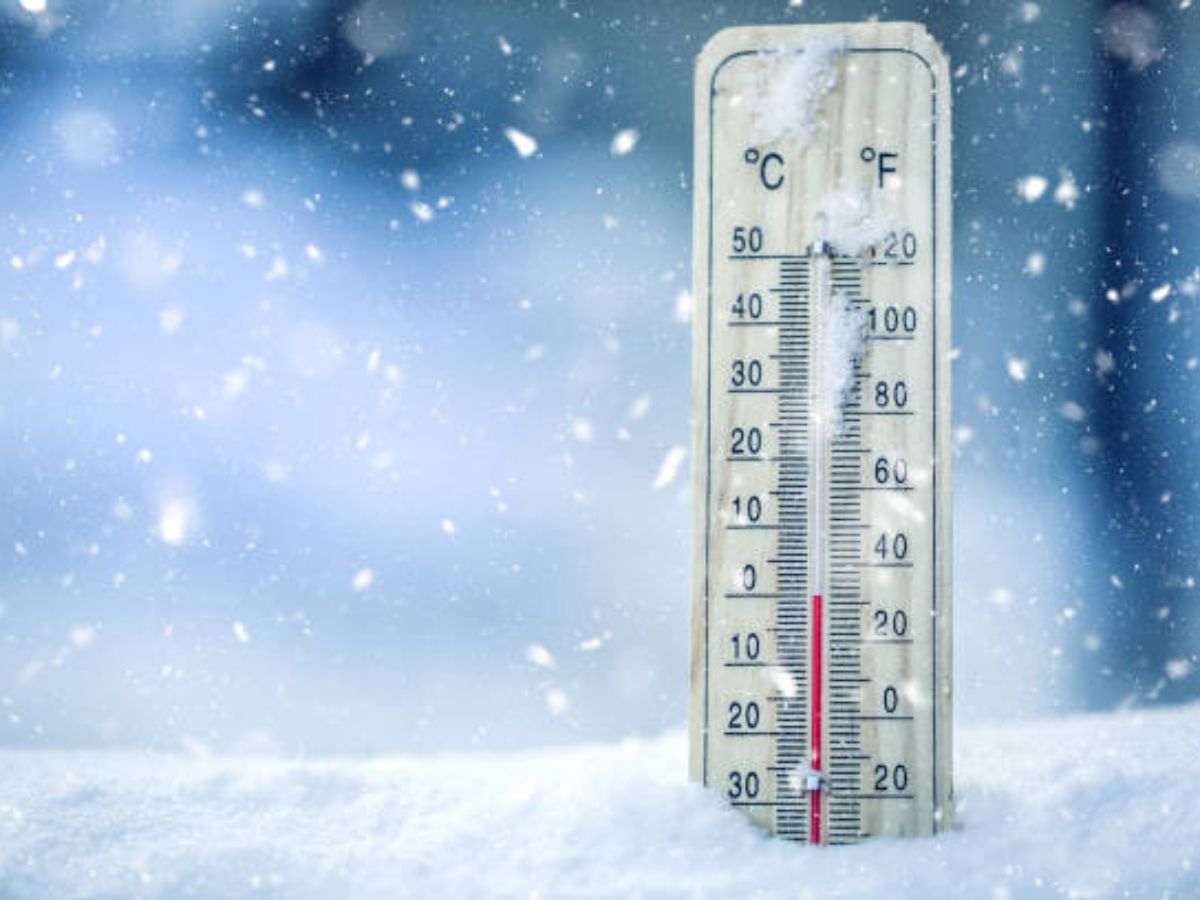 Weather Alert 1 January: शीतलहर से परेशान हो रहे दिल्ली-एनसीआर के लोग, हाड़ कंपाने वाली ठंड से जनजीवन हुआ अस्त-व्यस्त