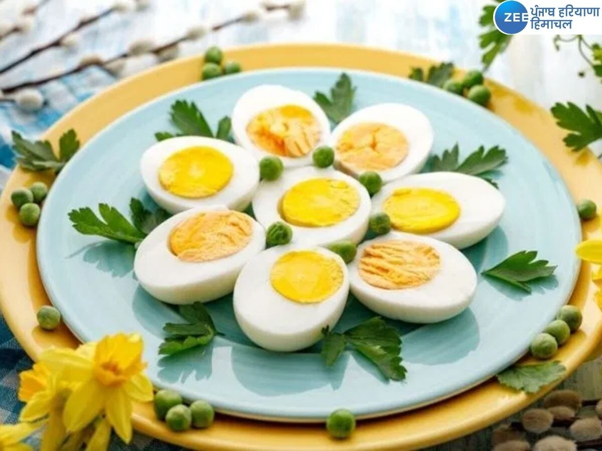 Eggs Benefits: ਸਰਦੀਆਂ 'ਚ ਰੋਜ਼ਾਨਾ ਖਾਓ ਦੋ ਆਂਡੇ, ਇਹ ਬਿਮਾਰੀਆਂ ਹੋਣਗੀਆਂ ਦੂਰ, ਮਿਲੇਗਾ ਫਾਇਦਾ 