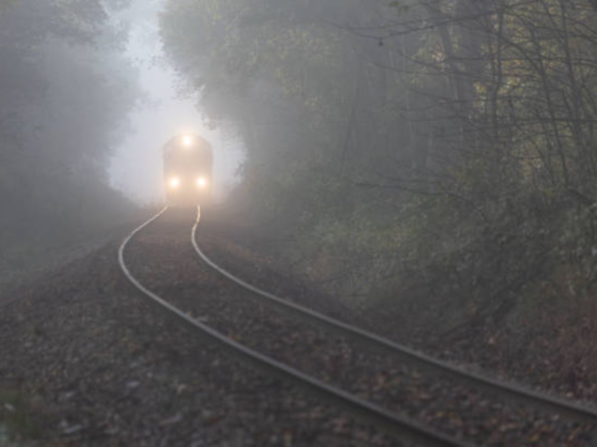 Late Running Trains: घने कोहरे का कहर जारी, आज भी दो दर्जन से अधिक ट्रेनें लेट, घर से निकलने से पहले चेक कर लें ये लिस्ट