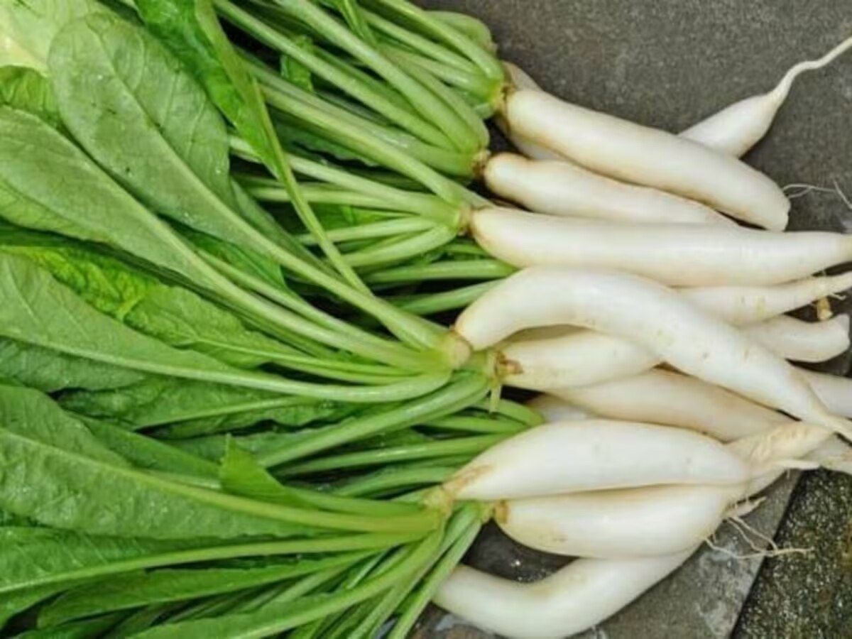 Mooli Benefits: मूली का ऐसा इस्तेमाल, आ जाएगा मजा; जानें तरीका और समय ...