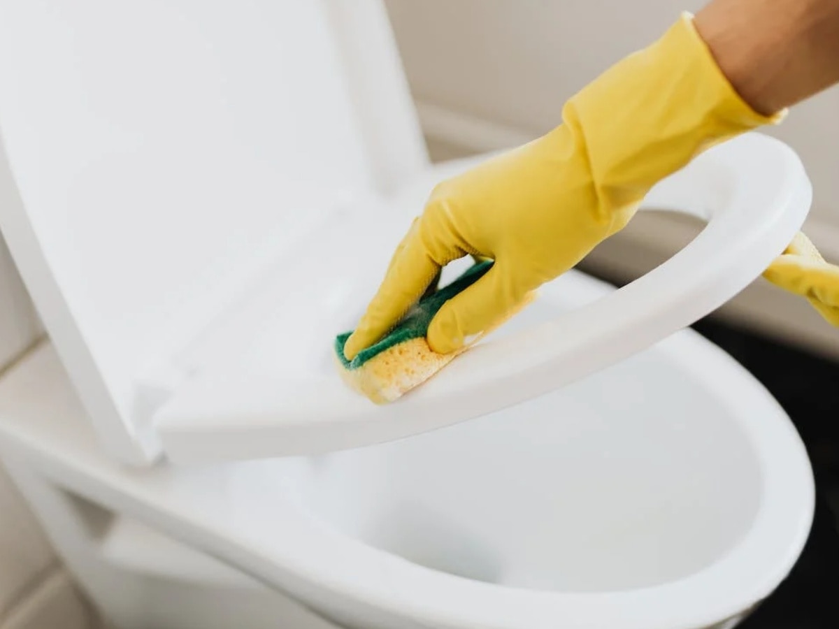 Lifestyle Tips: टॉयलेट सीट से भी ज्यादा गंदे रहती हैं आपकी घर में रखी ये चीजें, घरेलू कामों में होते हैं इस्तेमाल 