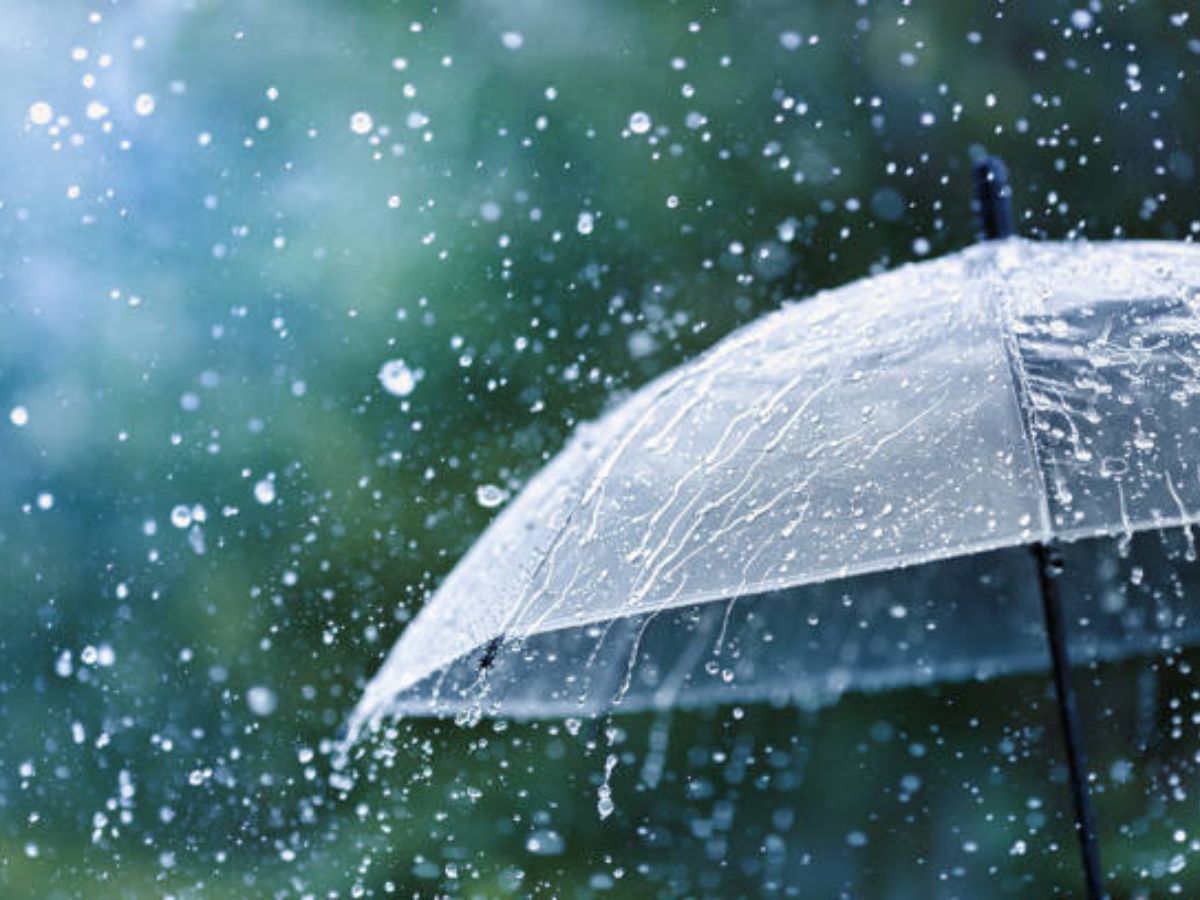 Weather Alert 3rd January: अभी और परेशान करेगी शीतलहर, यूपी-एमपी में बारिश की संभावना, जानें आज का वेदर...