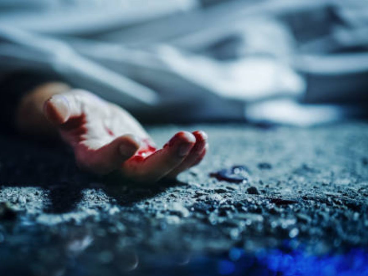 Burari Road Accident: मां-बेटे को कुचलकर मौत के घाट उतारने के बाद बोला ड्राइवर, 'साहब! मुझे मिर्गी का दौरा आ गया था'