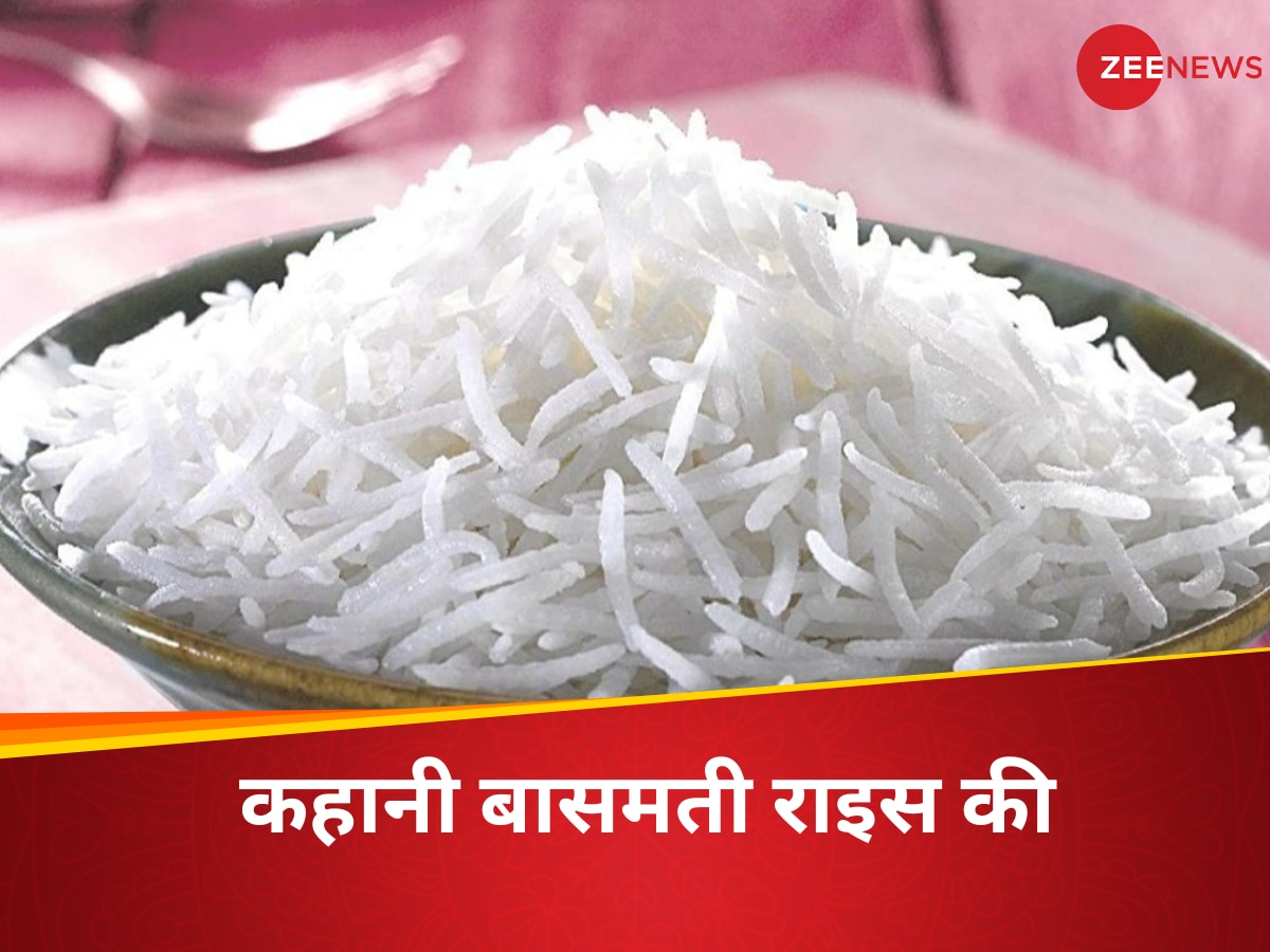 Basmati Rice 