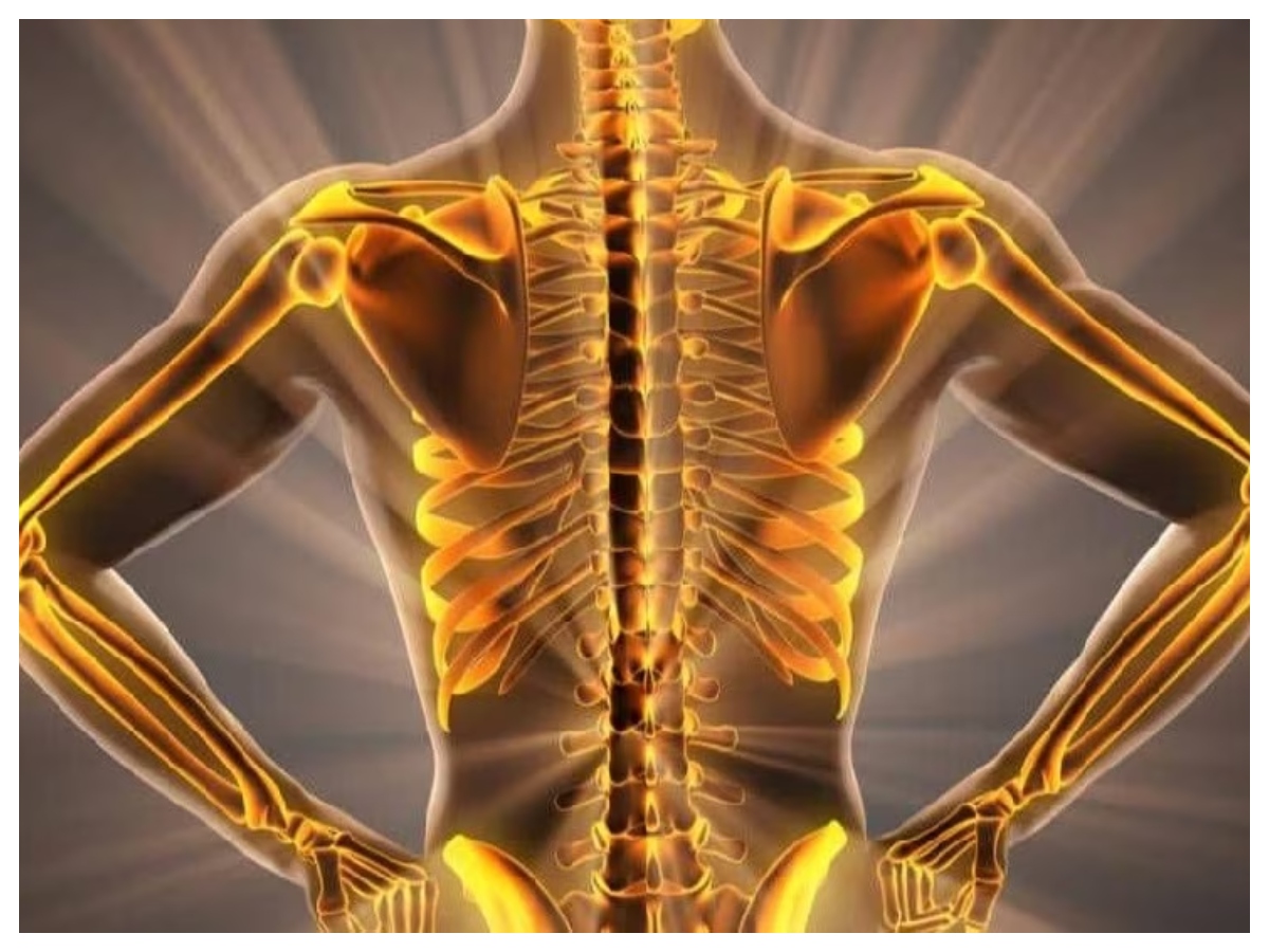 हड्डियां मजबूत