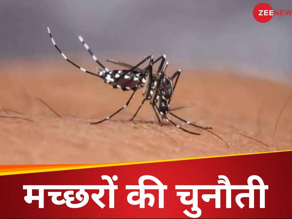 डेंगू-जीका-चिकनगुनिया फैलाने वाले मच्‍छरों पर लगेगी लगाम, आ गई एकदम नई तकनीक