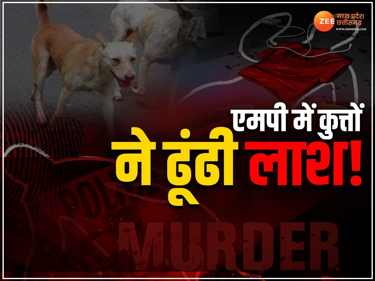 Sagar News: सड़क किनारे मिला युवक का शव, कुत्तों ने नोंचा, मौत बनी रहस्य!