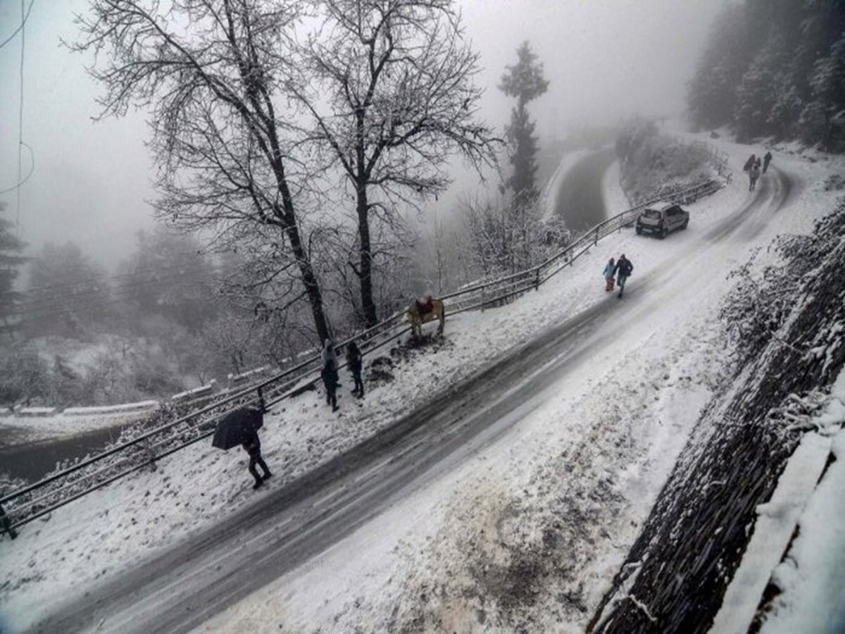 Rajasthan Weather: राजस्थान में कोहरे का कहर जारी, -2 डिग्री तक पहुंचा माउंट आबू का पारा