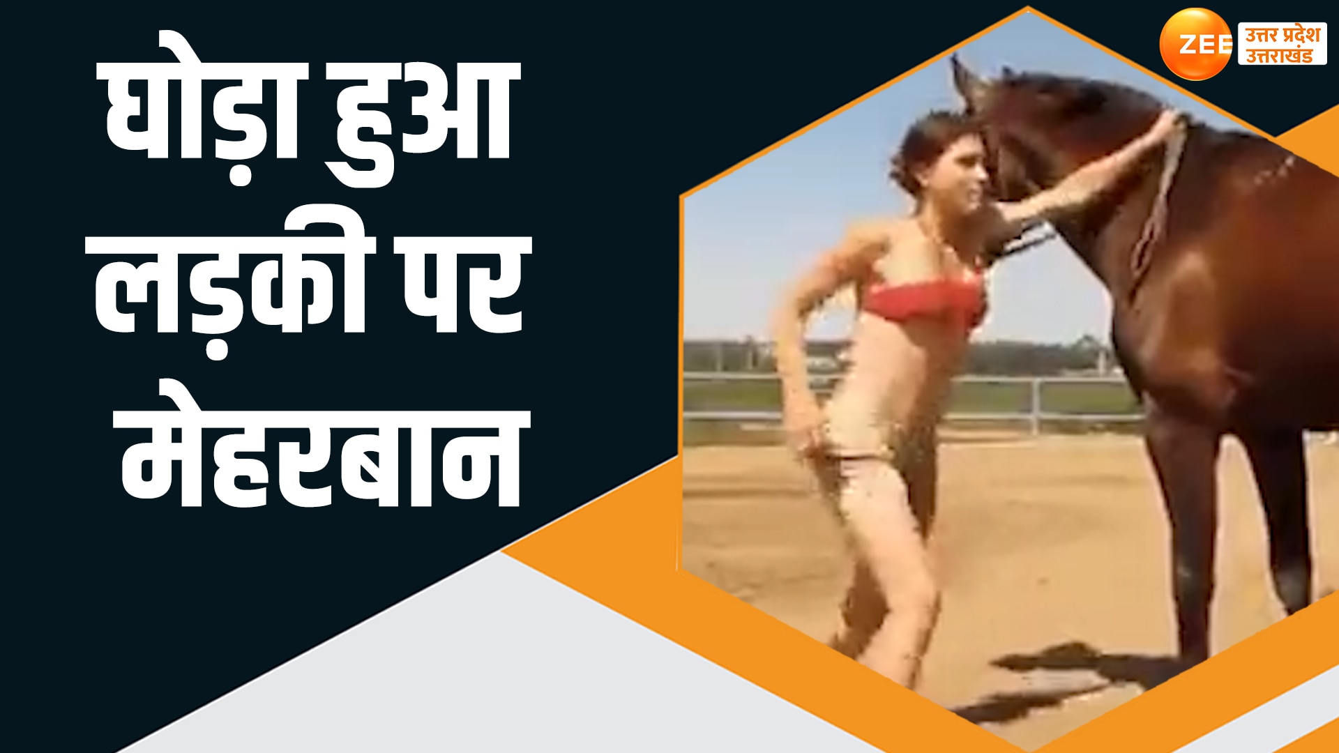 Viral Video: बार-बार कोशिश के बाद भी नाकाम हुई लड़की पर घोड़े को आया तरस,  फिर किया ये काम