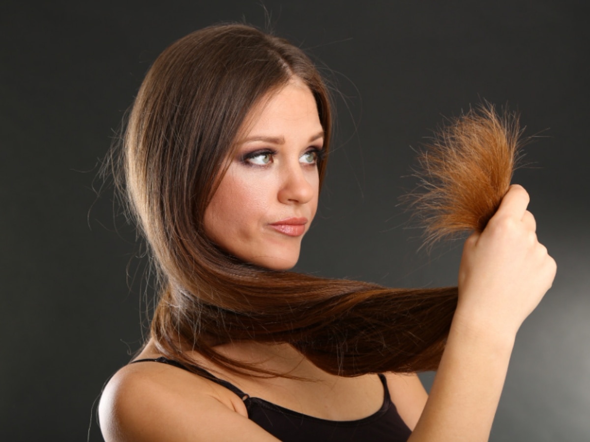 Hair Care Tips: दोमुंहे बालों से राहत दिलाएंगे ये 6 उपाय, 5 दिन में दिखेगा असर 